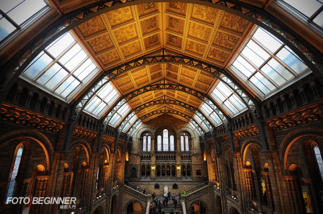 摄影基础教程 五个摄影构图技巧