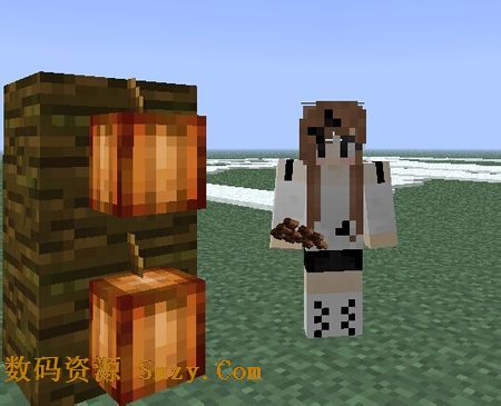 我的世界可可豆怎么种