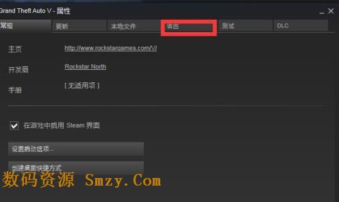 GTA5PC版怎么设置中文?
