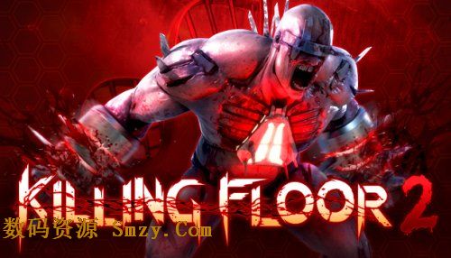 杀戮空间2怎么联机?