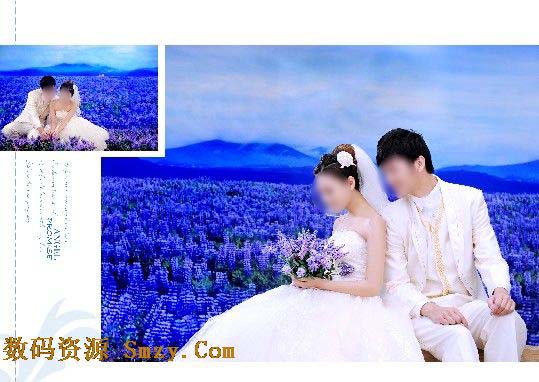 最新婚纱照风格图片_最新免费婚纱照模板(2)