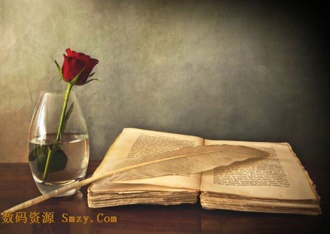 在旁边玻璃杯子里的红色玫瑰花,同时在旧书籍上还摆放着一只鹅毛笔