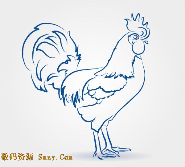 手绘动物之公鸡图片矢量素材下载- 手绘动物系列 - 数码资源网