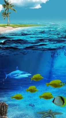 3D海底世界动态桌面壁纸安卓版下载(手机动态