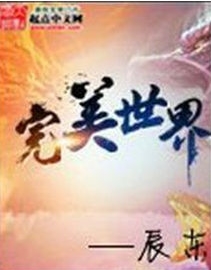 完美世界小说IOS版 (完美世界小说苹果手机版