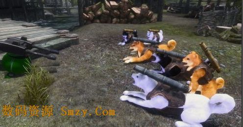 上古卷轴5天际重装机兵波奇战斗犬MOD下载(