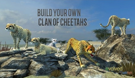 猎豹模拟器苹果版下载v1.0 免费版- 模拟动物生