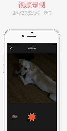 宠物日常iOS版下载(苹果手机宠物社交软件) v1