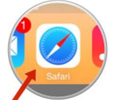 无线Safari浏览器苹果版