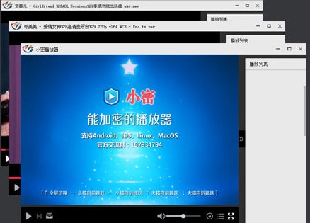 XM播放器电脑版下载(小密播放器PC版) v1.0 最