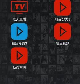 绝非手电筒SSBOX安卓汉化版v9.0 中文版