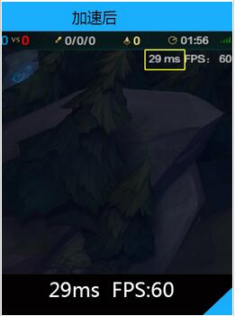 海豚日服加速器下载|海豚加速器日服lol专版下