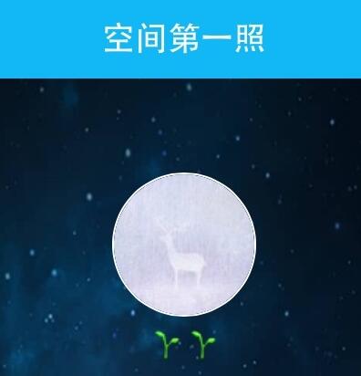 qq空间第一照查看器安卓版最新2016版