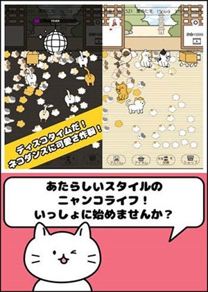 猫狗搭档