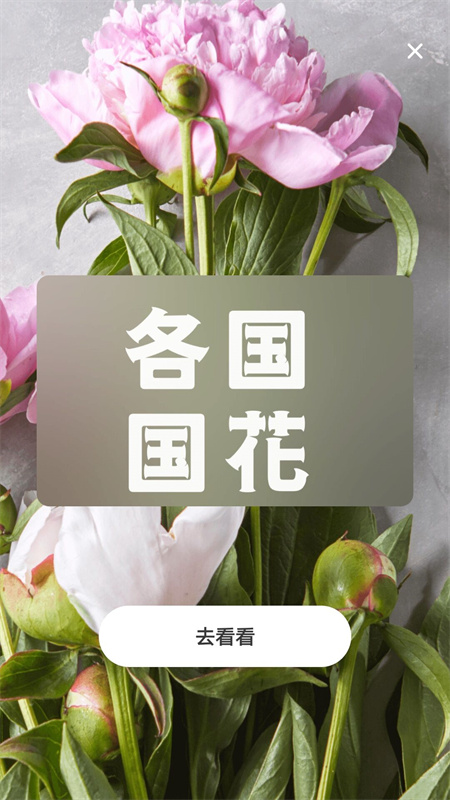 照片转动漫app 截图3