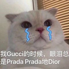 gucci的时候眼泪pradaprada的dior表情包  1.5