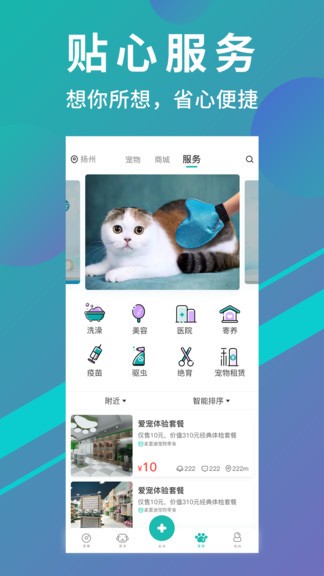 宠都app 截图3