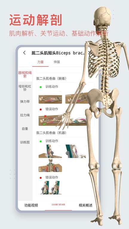 3d人体模型 截图3