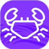 面包蟹app  1.1