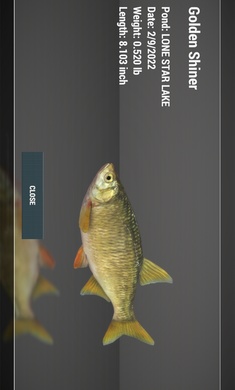Fishing Planet手机版 截图2