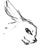 漫画兔兔