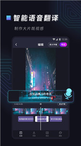 视频字幕大师app