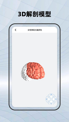 人体骨骼app 截图1