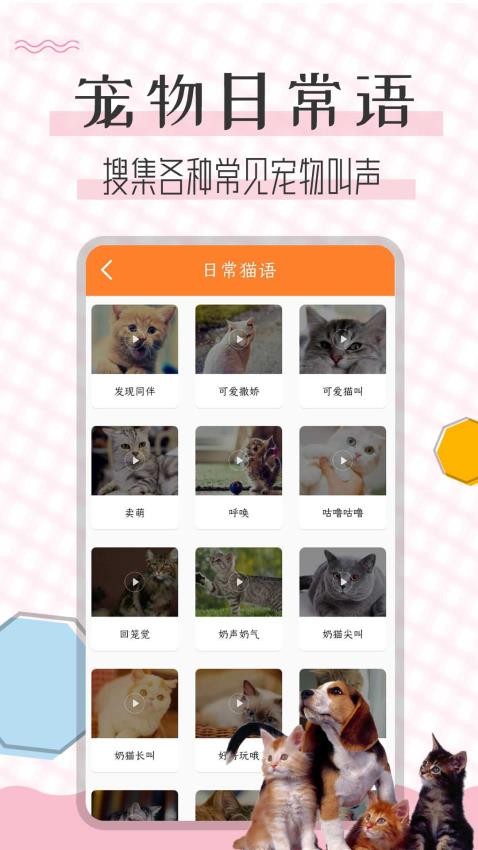 猫语翻译宝2024 截图1