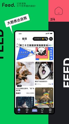 Feed 截图1