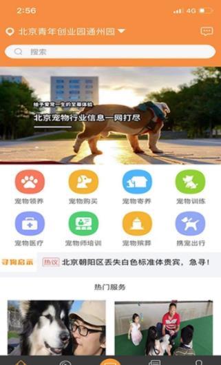 汪财网10.6.2 截图1