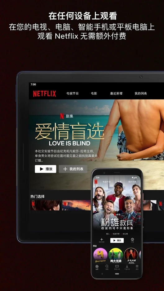 网飞netflix官方app下载