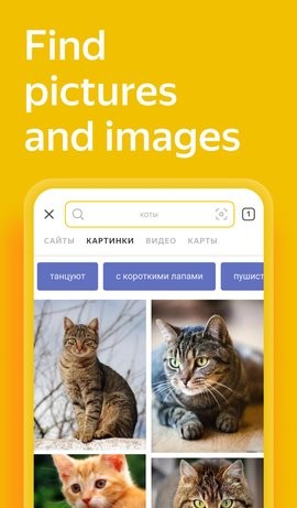Yandex搜索引擎 截图2