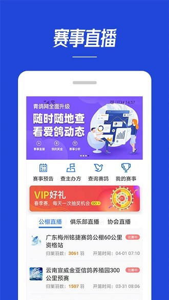 青鸽网app