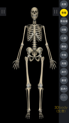 3DBody解剖最新版 截图3