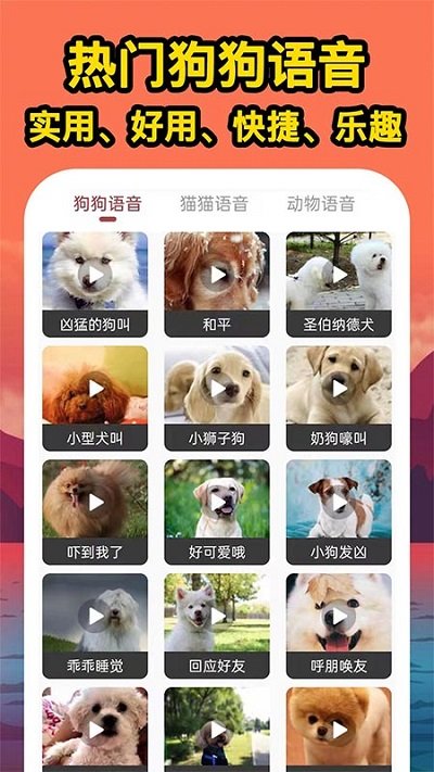 人人猫狗翻译交流器 截图3