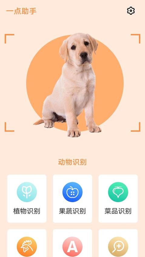 一点助手app