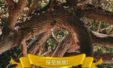 寻找猫隐藏对象3安卓版 截图3