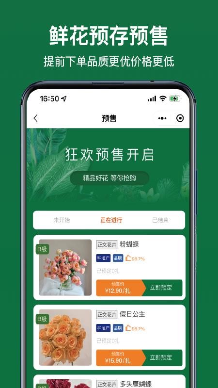 斗南花城 截图2