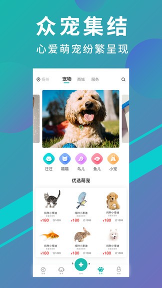 宠都app 截图1