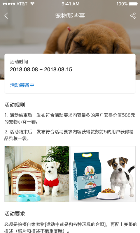 犬易 截图3