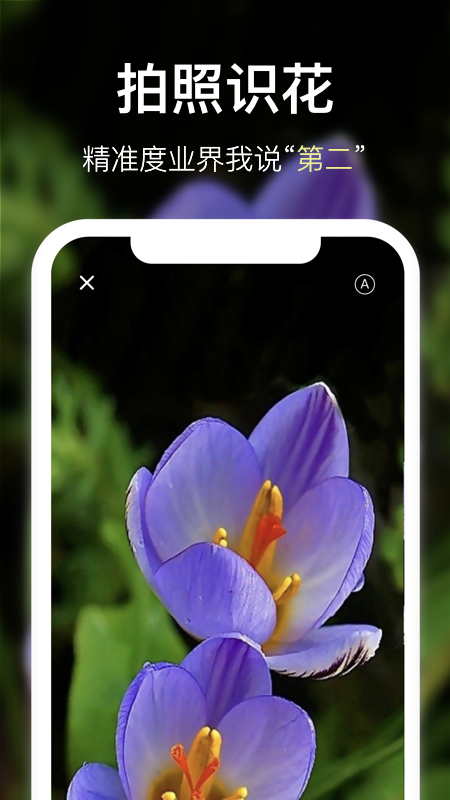 花将app 截图5