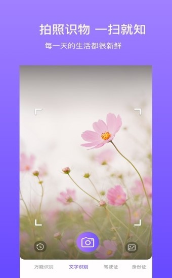 拍拍识图app 截图2