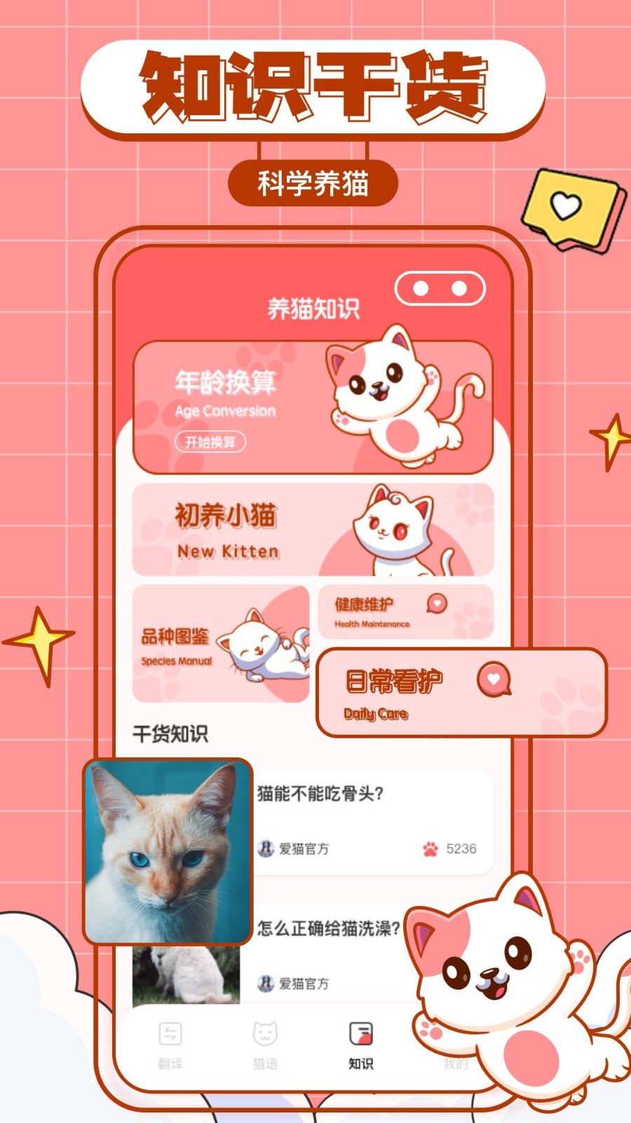 猫咪翻译物语 截图2