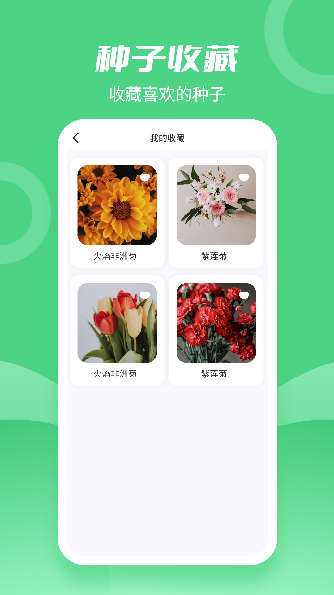 种子大全app