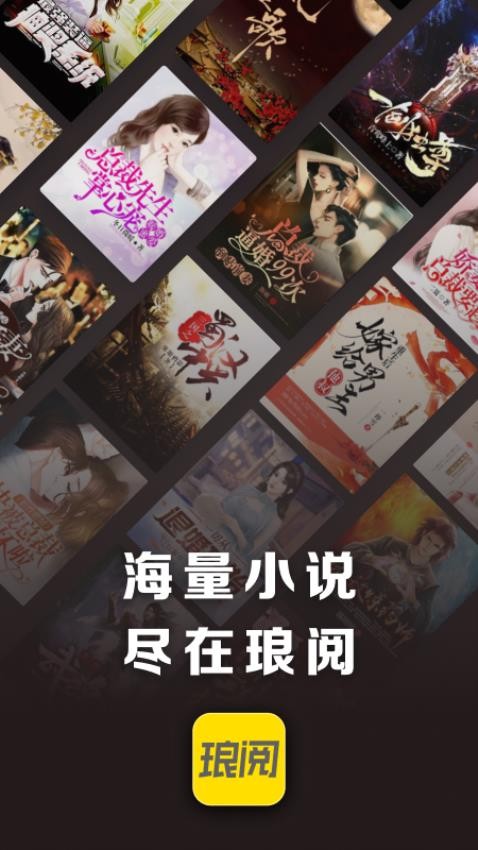 琅阅小说app 截图4