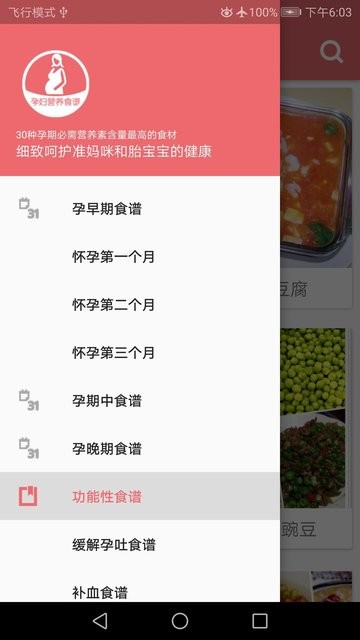 孕妇营养食谱 截图4