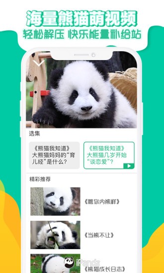 熊猫频道app下载 截图2