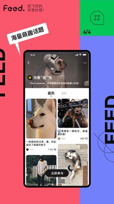 Feed 截图2