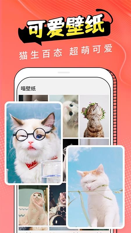 猫翻译 截图3