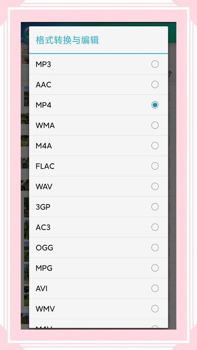 视音格式转换 截图2